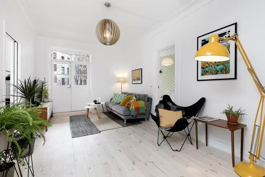 Nyoppusset stue med avrettet lyst gulv, sofa og planter